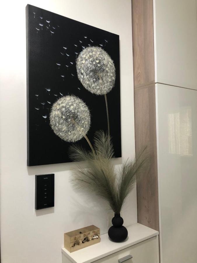 Miio Studio Navodari Luaran gambar